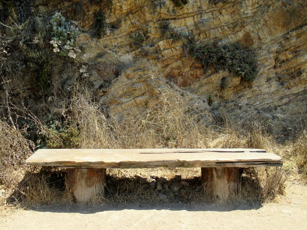 Wildflower Spectacle