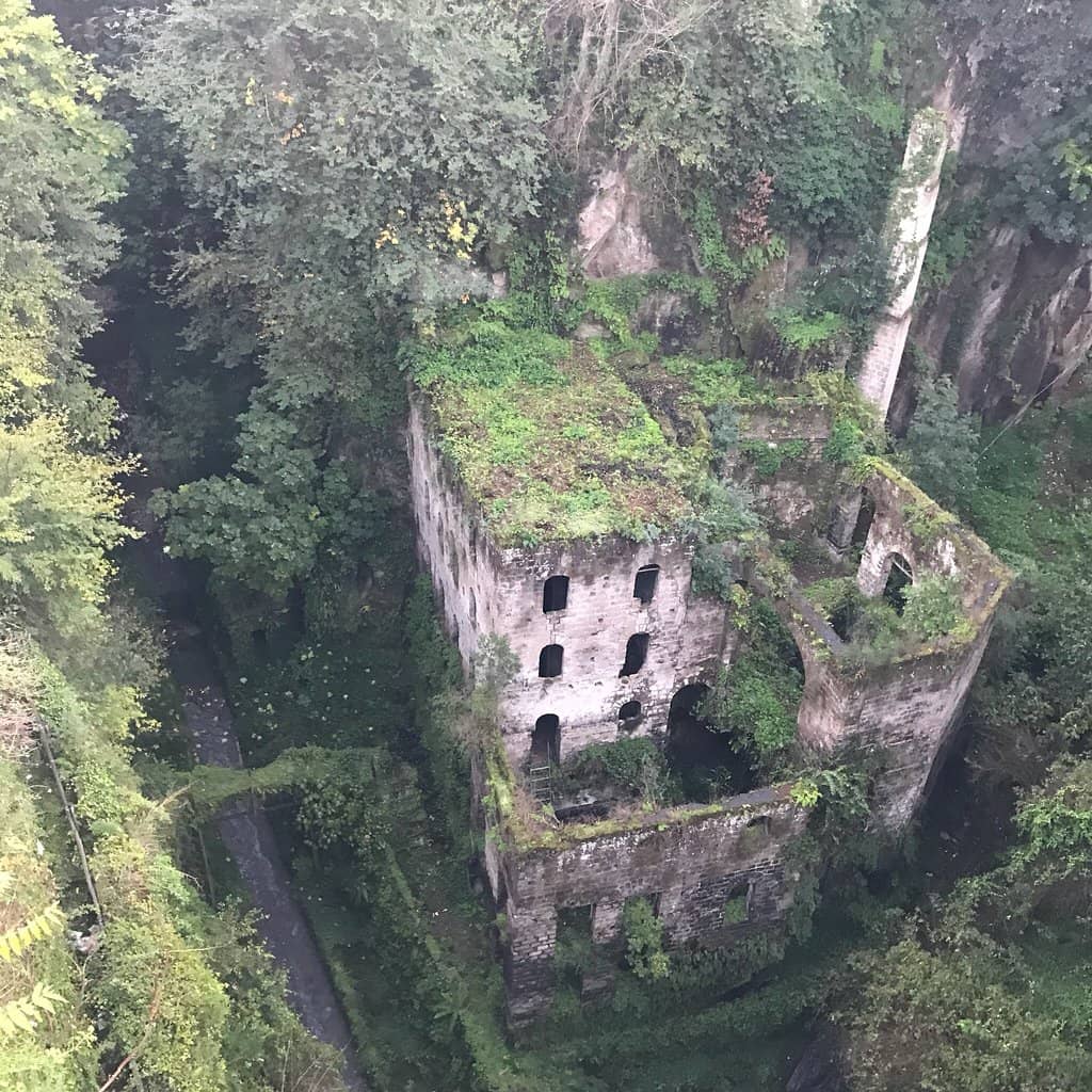 Nature's Reclamation