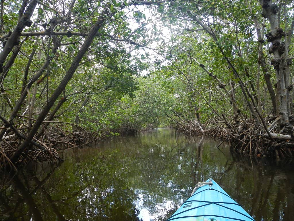 Calusa Shell Trail