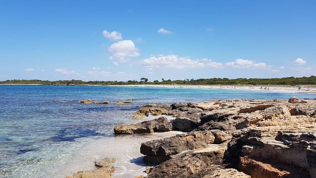 Spectacular Sunset Views