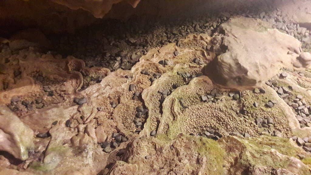 Ancient Cave Formations