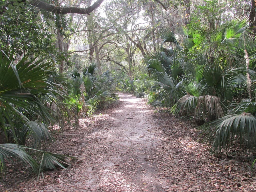 Scenic Walking & Biking Trails