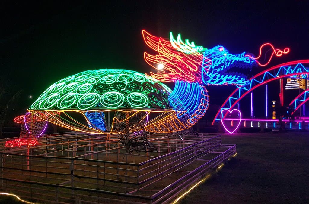 Beautiful Lighted Creatures