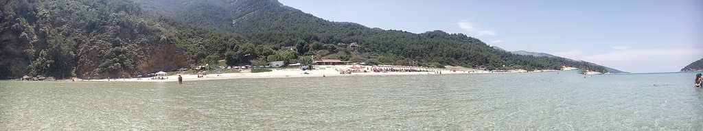 Lush Green Surroundings