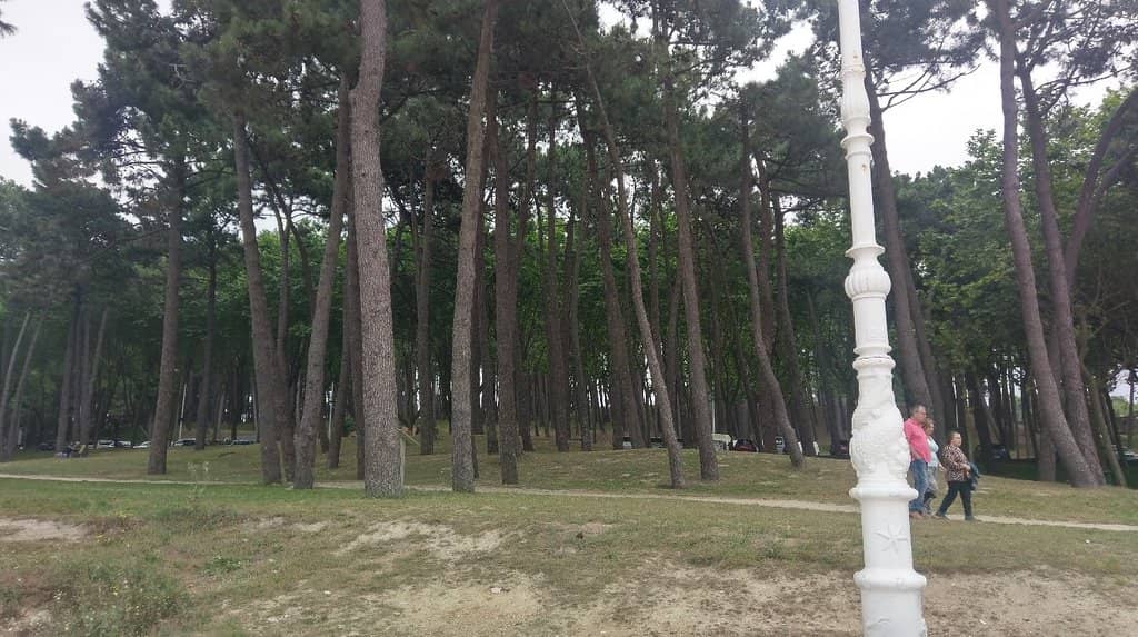 Golden Sands and Promenade