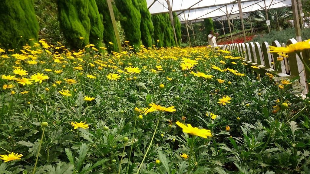 Local Produce & Gifts