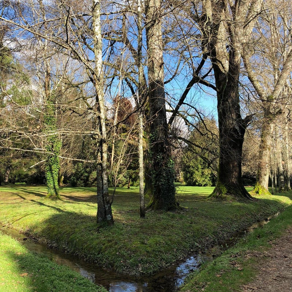 Jardín Botánico Universidad Austral de Chile Valdivia