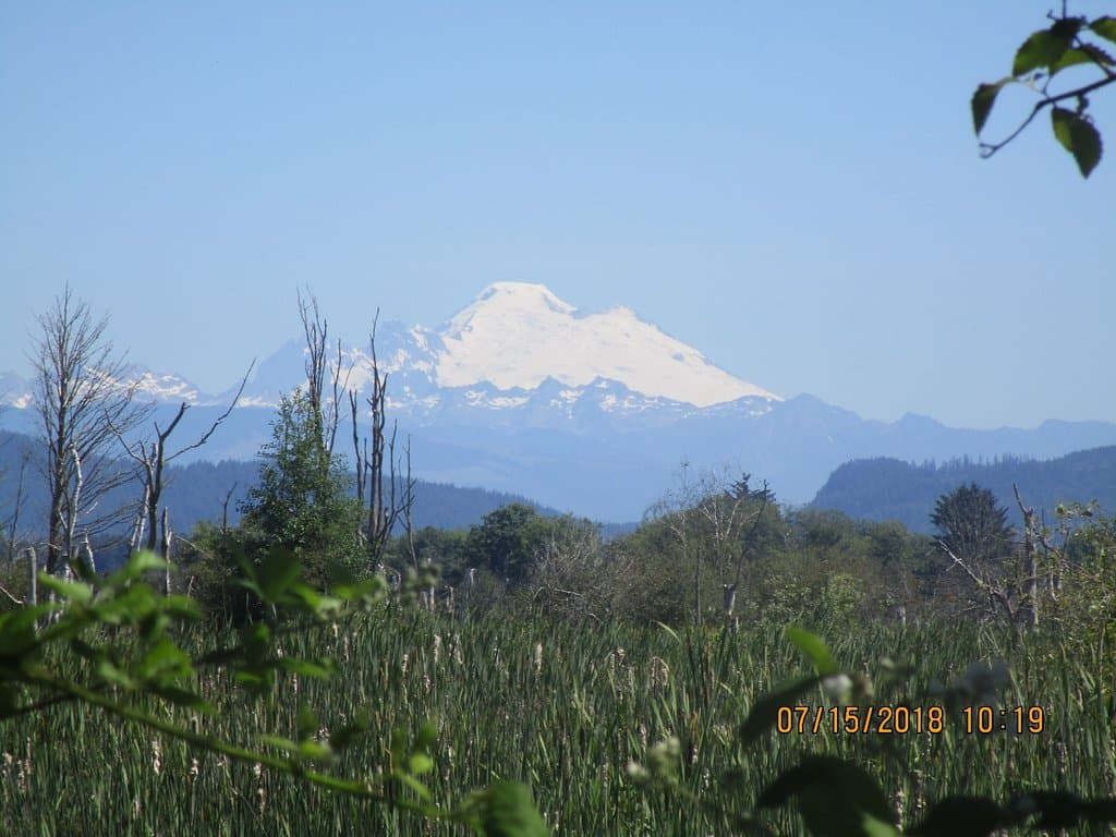 Skagit Wildlife Area Fir Island