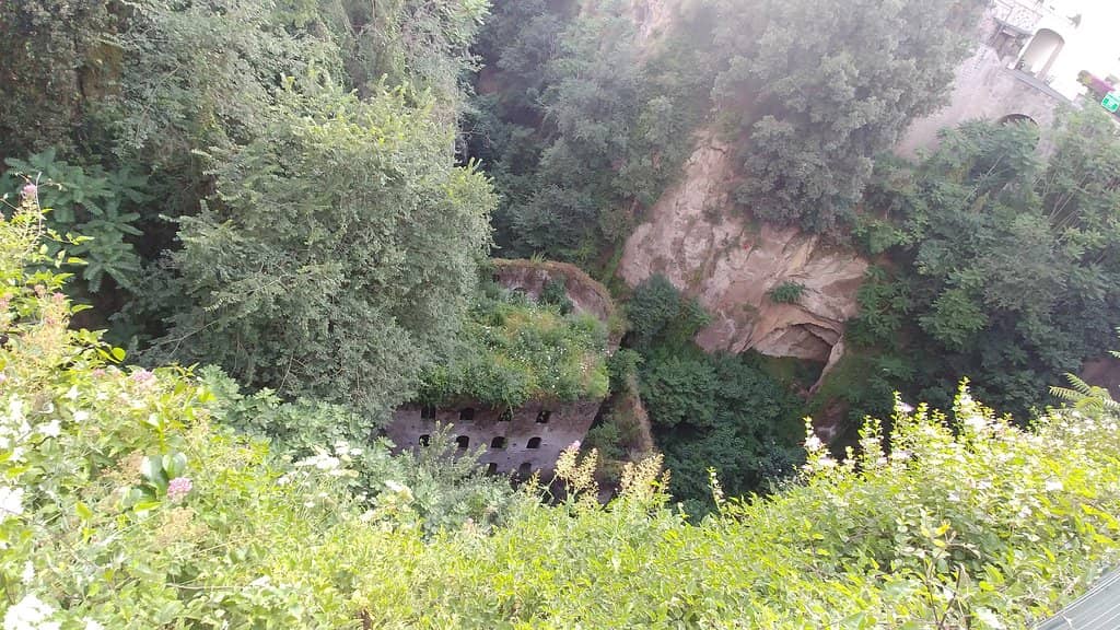 Historic Sawmill Ruins