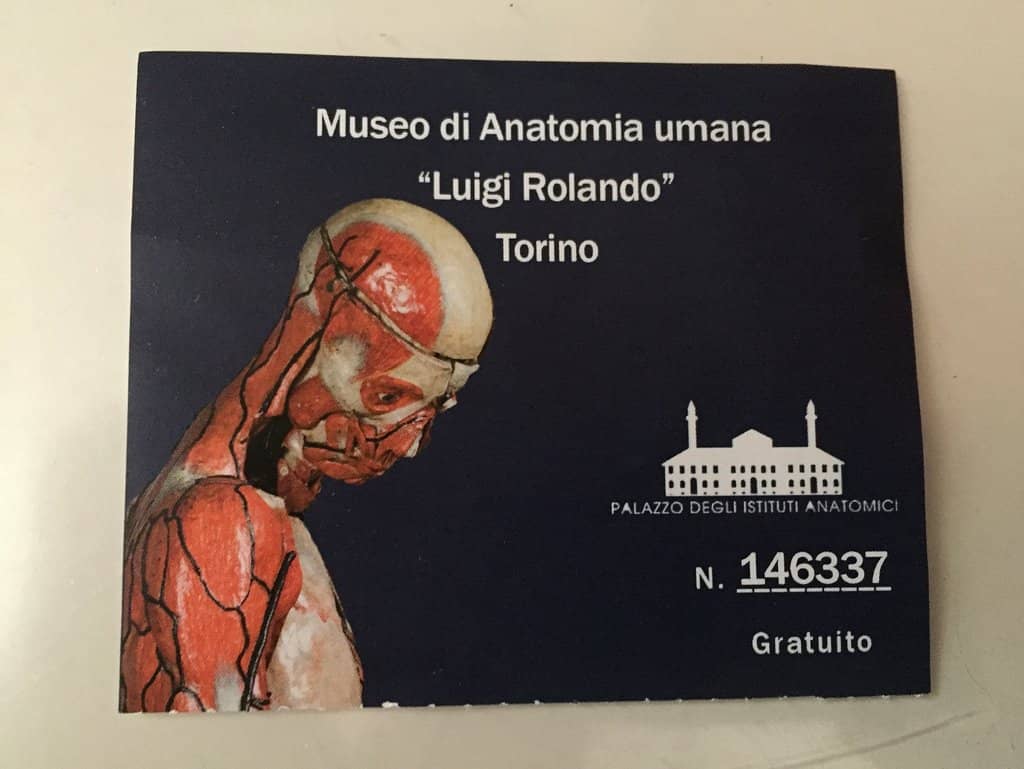 Preserved Specimens & Mummies