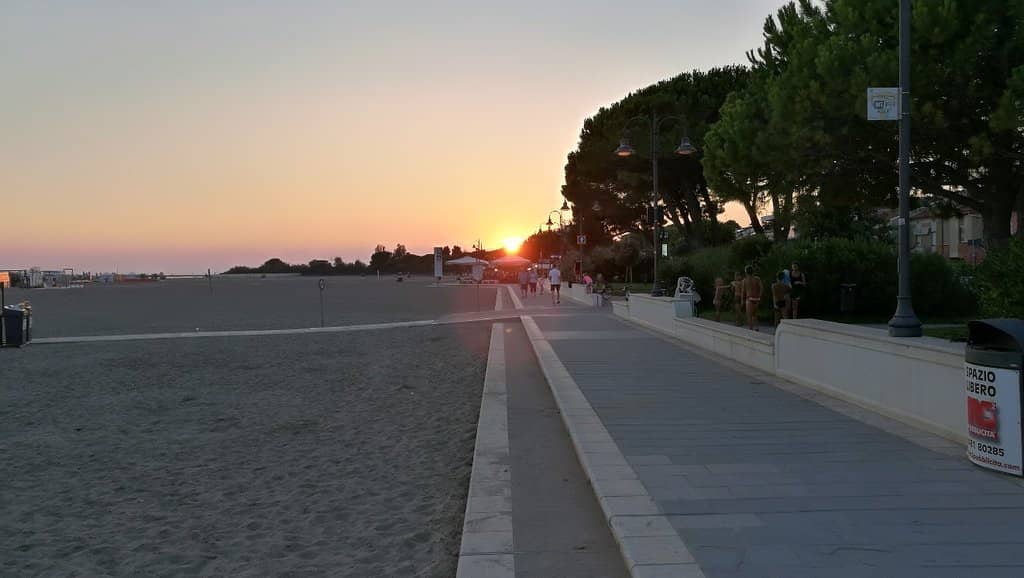 Local Events and Activities