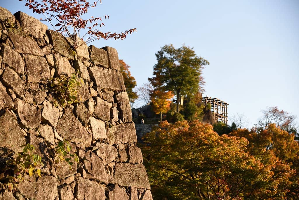 Panoramic Valley Views