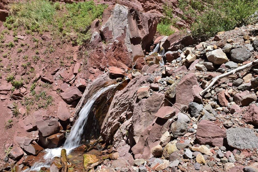 Vertical photo