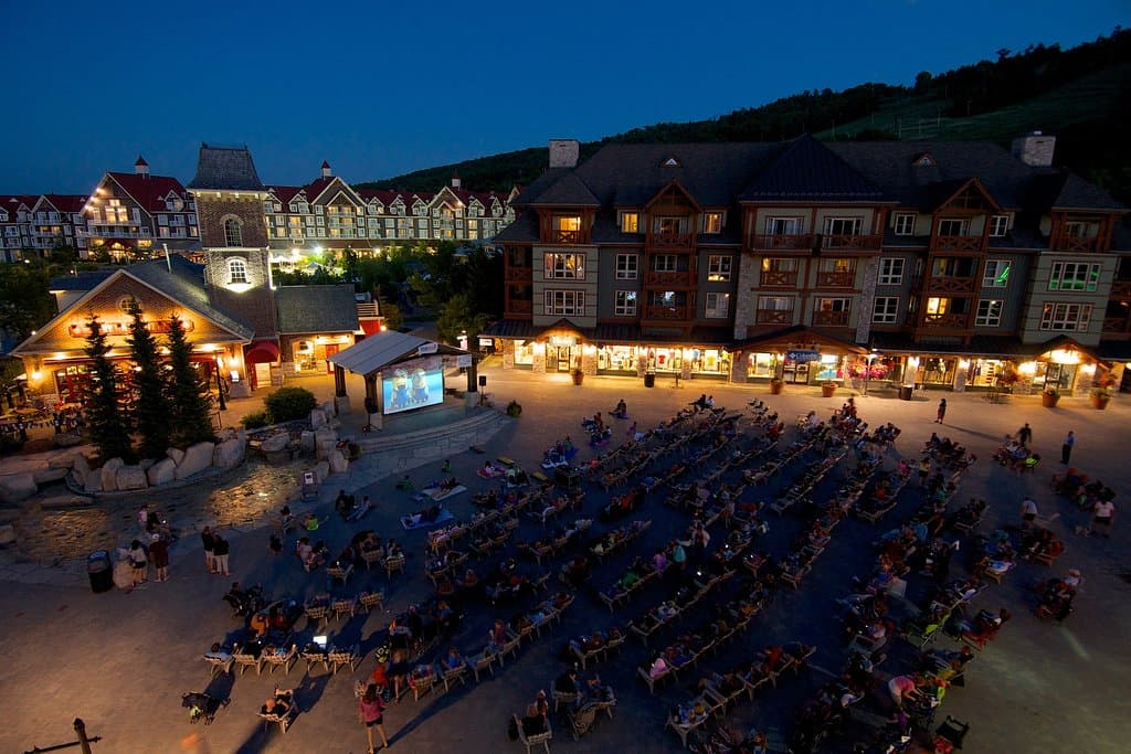 Movie Night Under the Stars