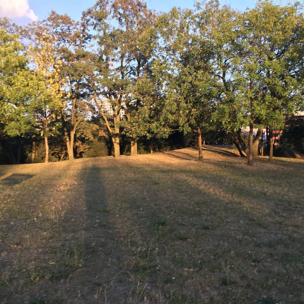 Green Escape