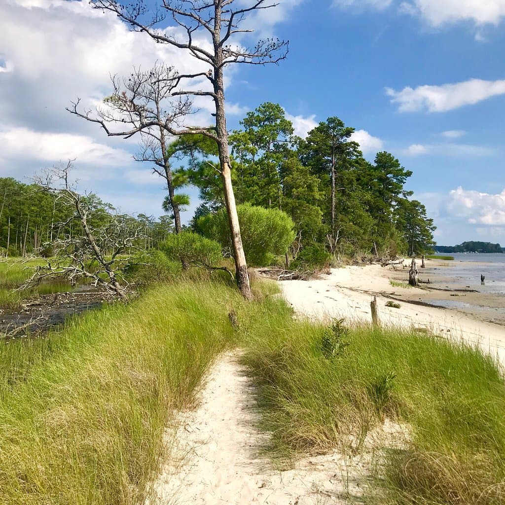 Very hot day with few people on the trails. Amazing creature sounds from the woods and a dog and