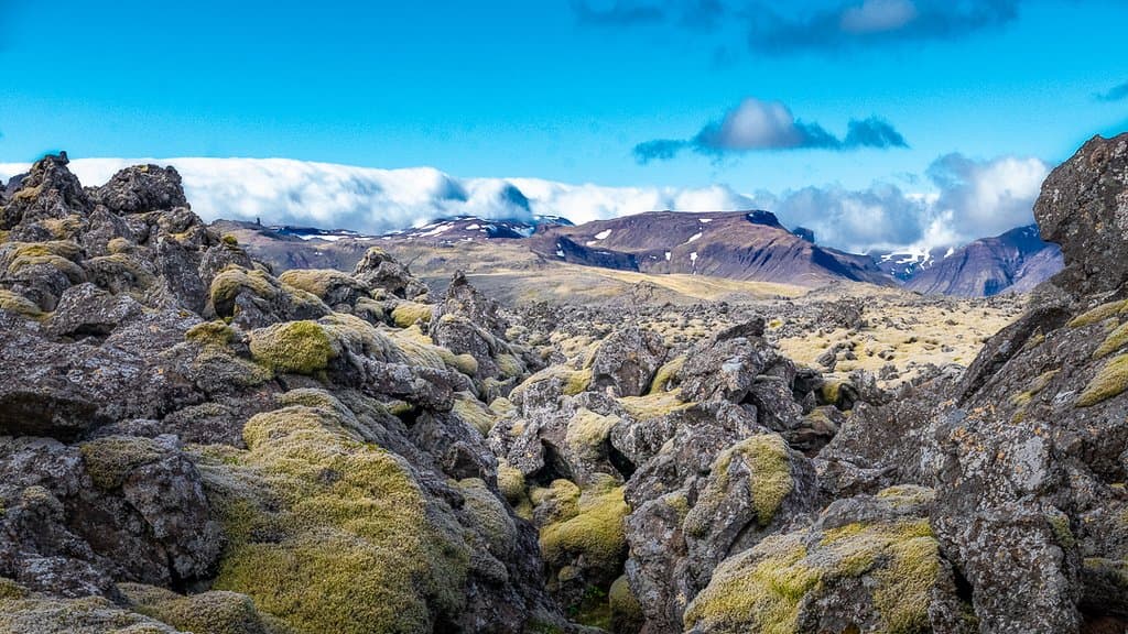 Very happy the mountains were retaining those clouds.