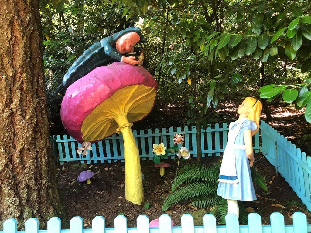 Log Ride