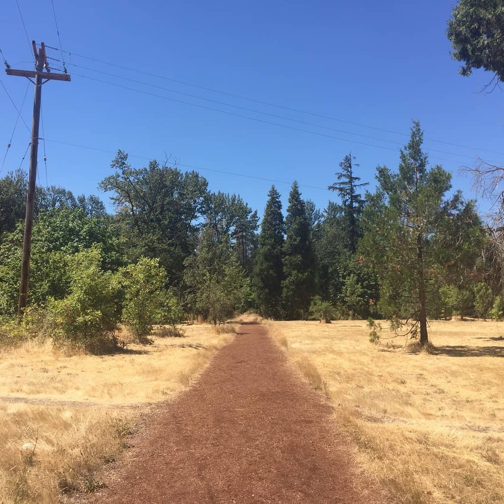 The Wood-Chipped Path