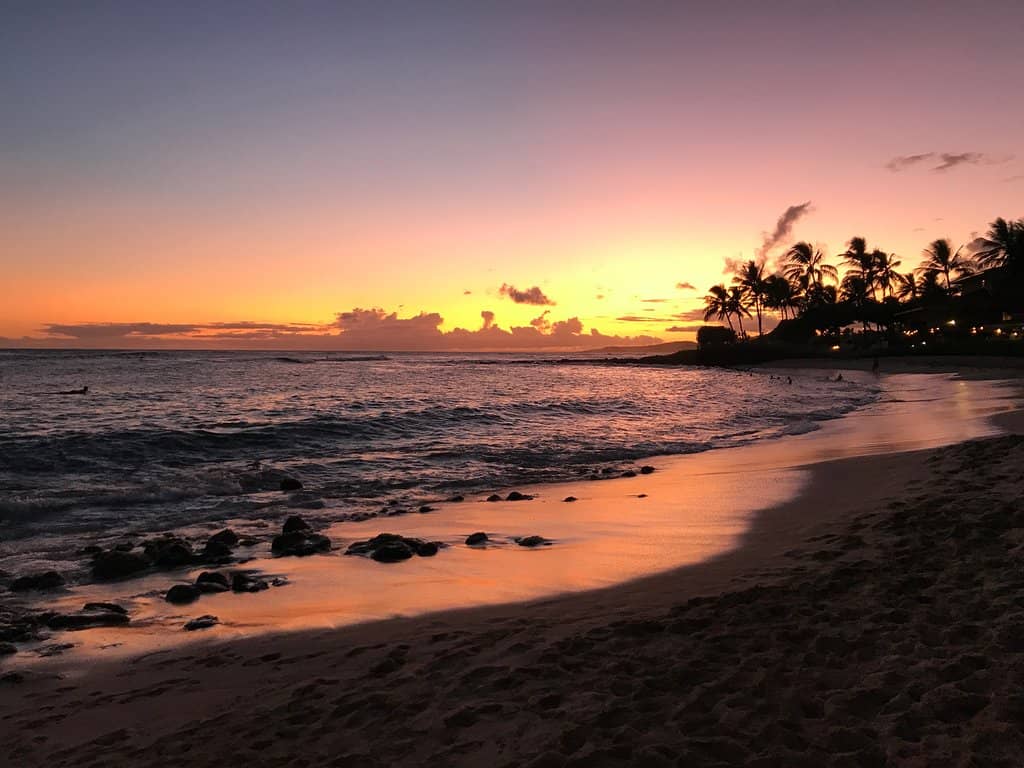 Snorkeling Adventures