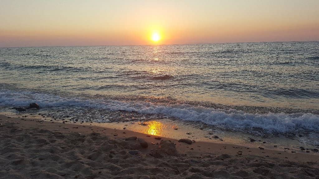 Rocky Seabed Wonders