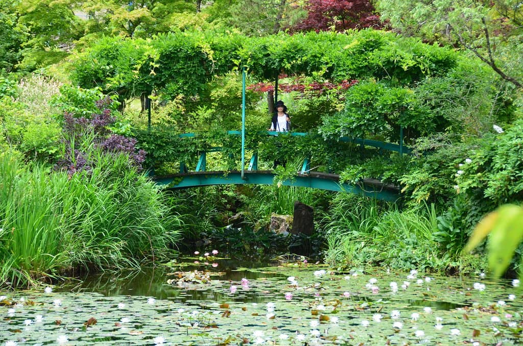 Seasonal Flower Displays