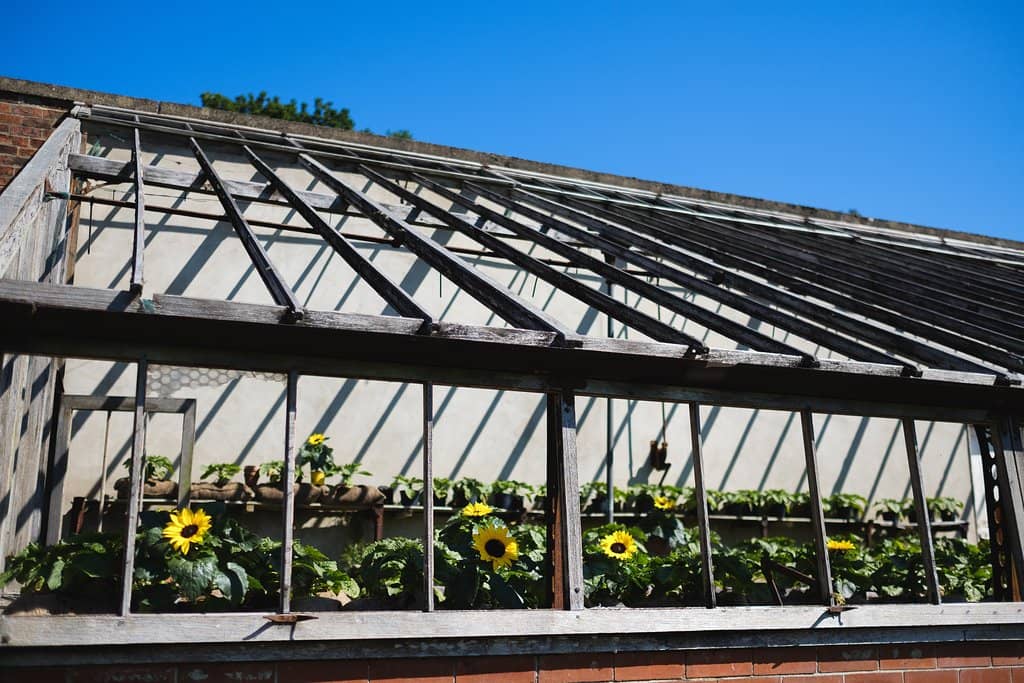 Landscaped Gardens & Grounds