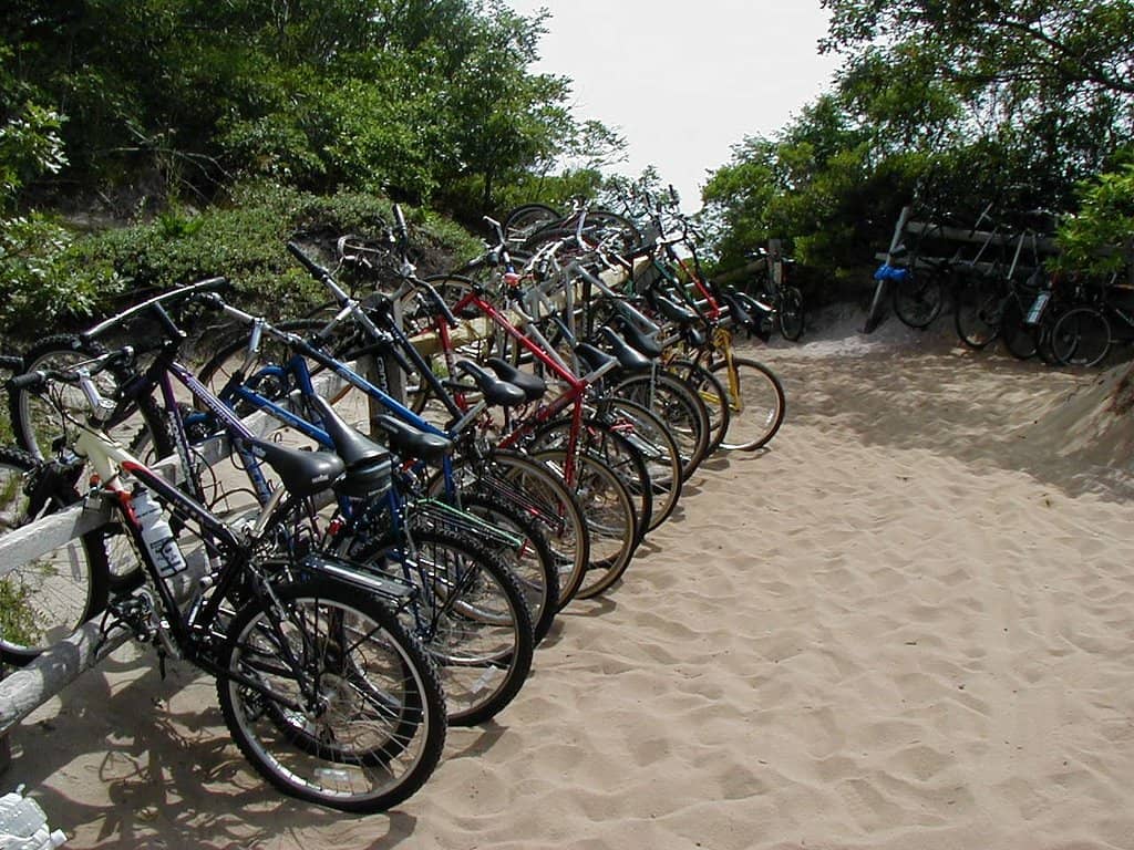 Drag Shows and Cabaret