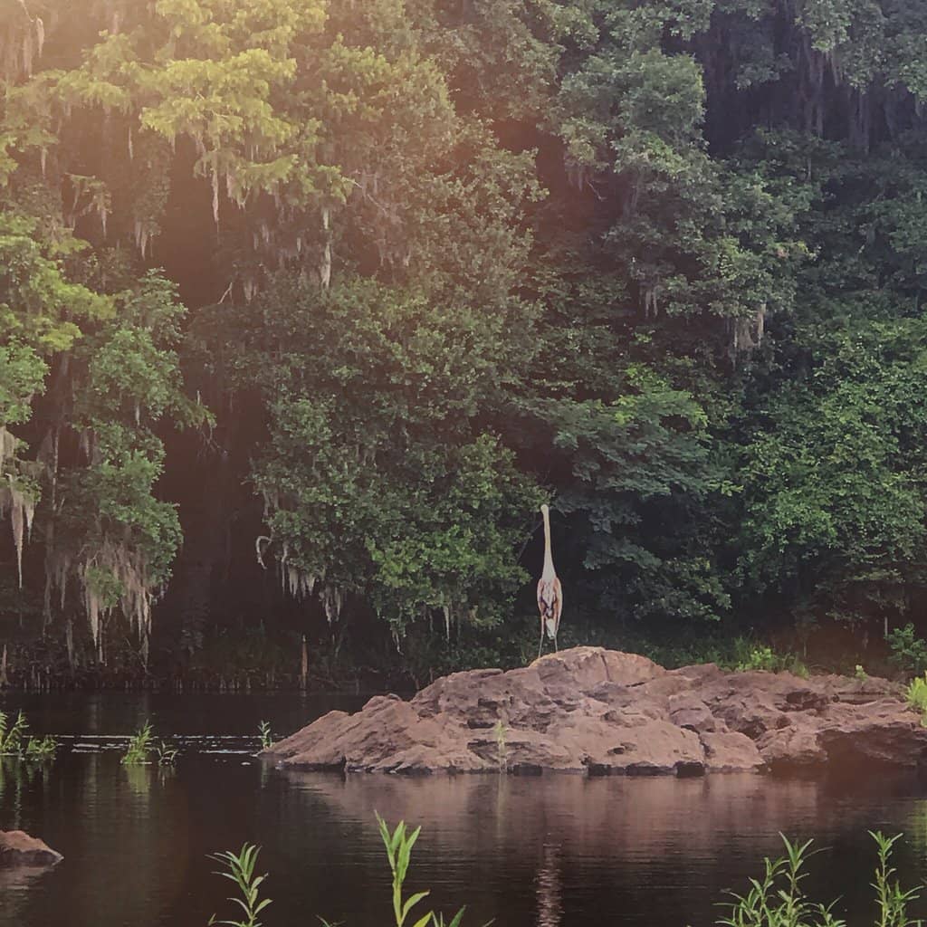 Coosa River Adventures