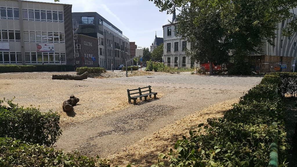 Summer Festival Vibes