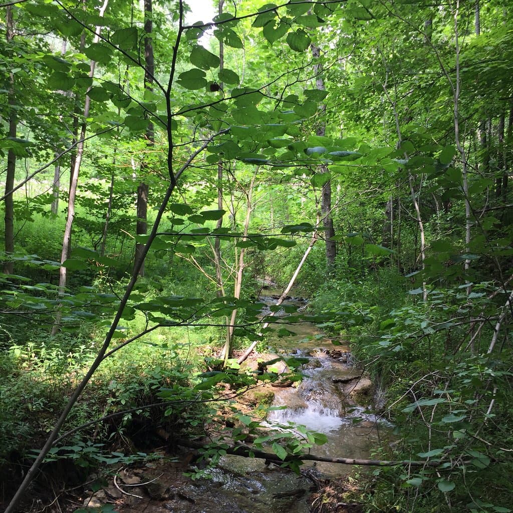 Pretty River Valley Provincial Park