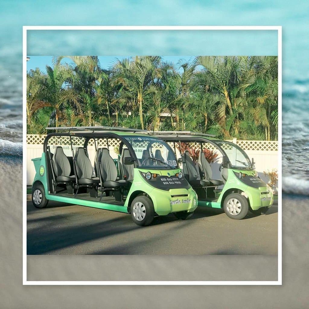 The first 2 turtles in our fleet: Tommy and Tilly