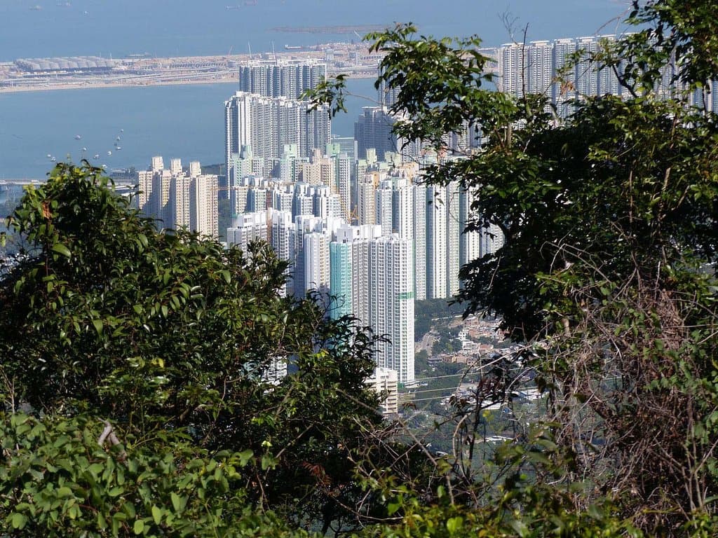 Ein bisschen zaubern, um Tung Chung zu verschönern