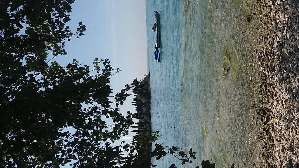 Vibrant Bar and Cocktails