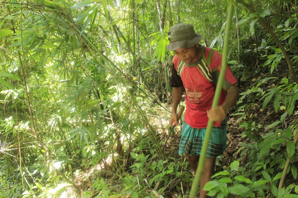 Immersive Nature Trek