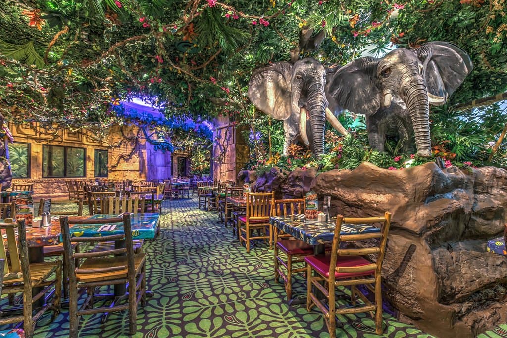 Dine with the elephants