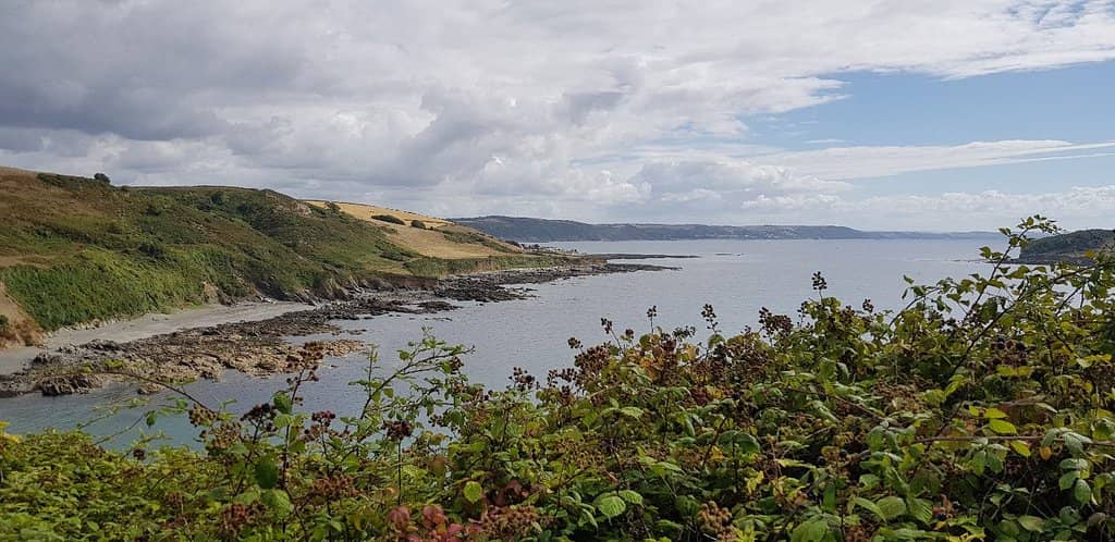 Tidal Pool Swim Spot