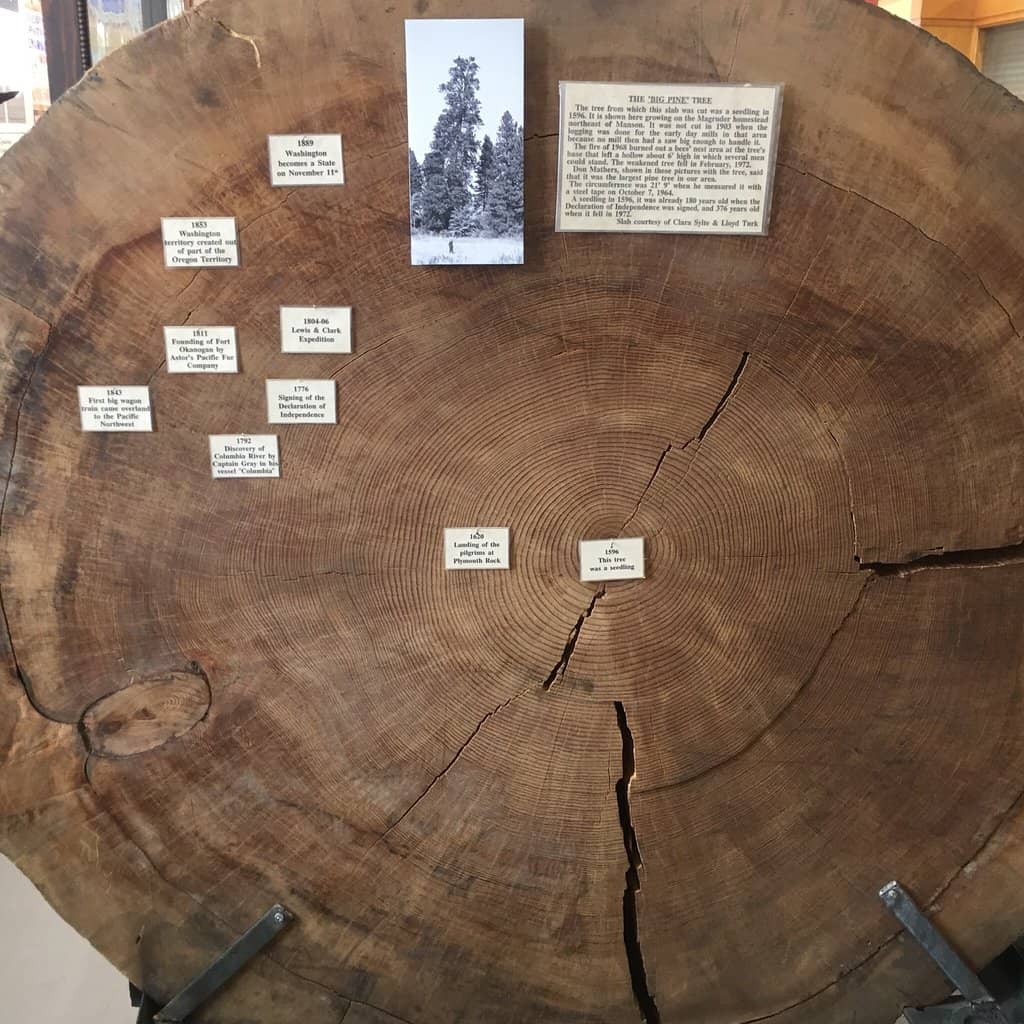 Early 20th Century Life