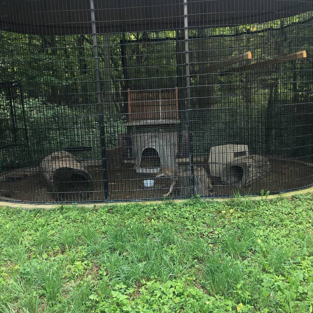 Nature Play Area