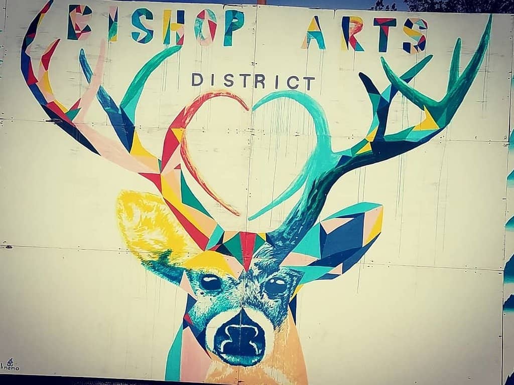 Vibrant Street Art & Murals