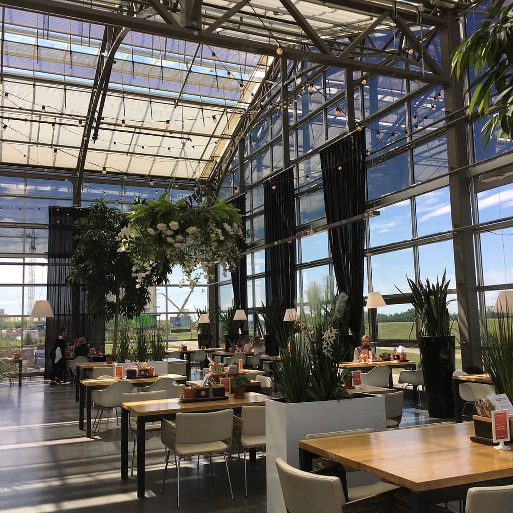 Amaranth Organic Restaurant & Cafe