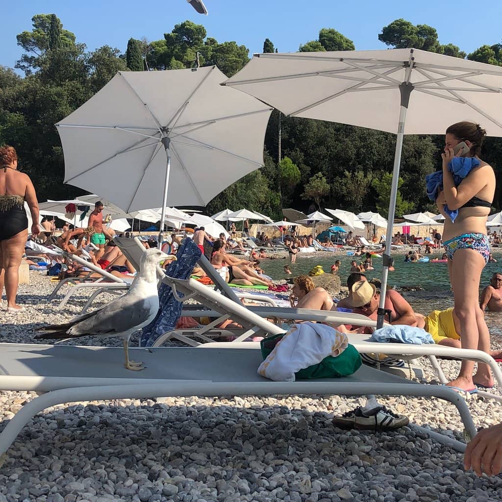 Luxury Beachfront Experience