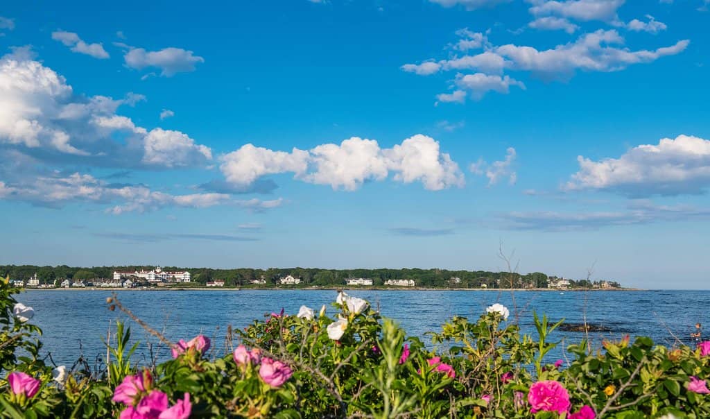 Rocky Ledge Focal Point