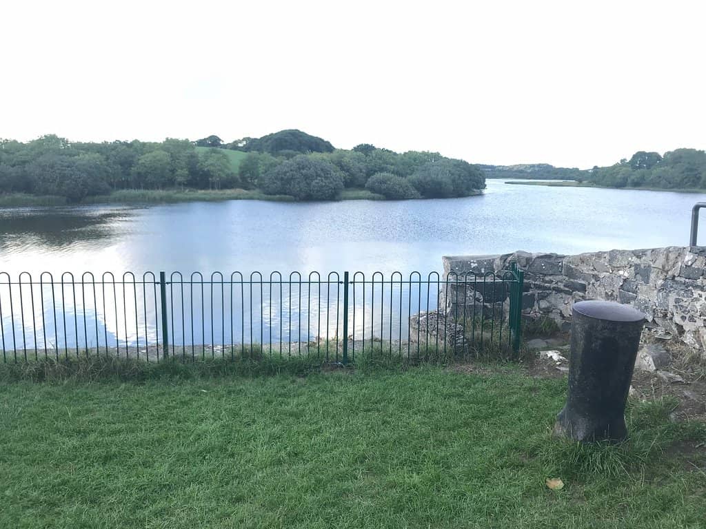 Quoile River Walk