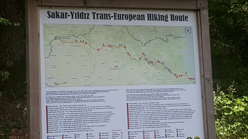 Istranca Forest Scenery