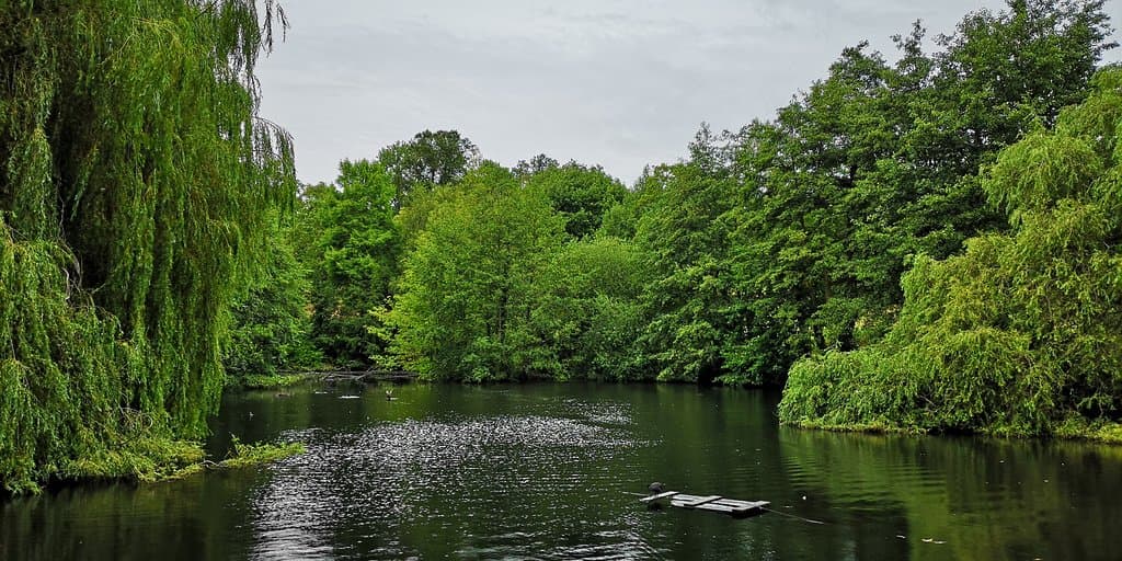 Waterlow Park.