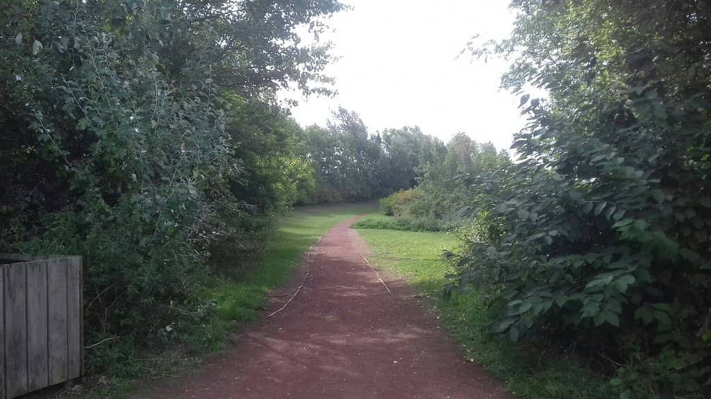 Nature Trail Adventure