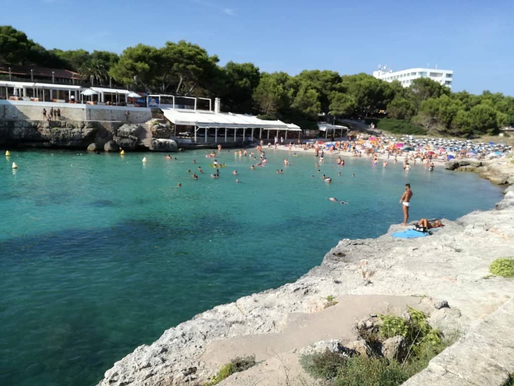 Snorkeling Paradise