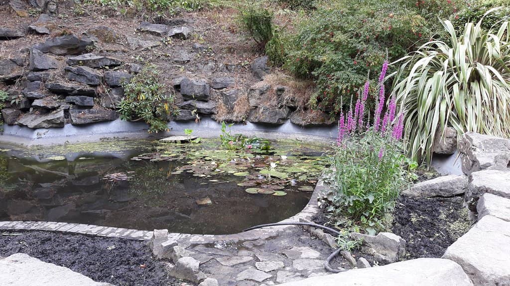 Modern Adventure Playground