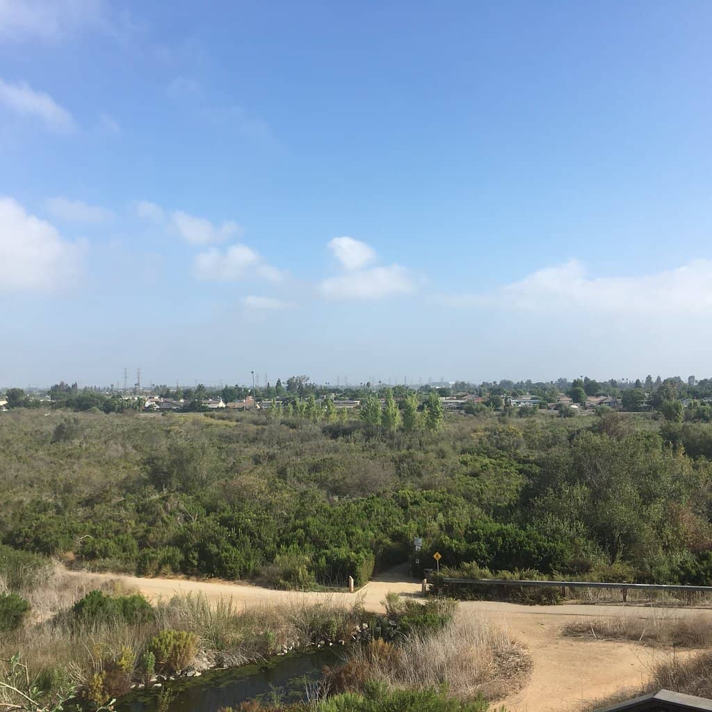 Wooden Steps Workout